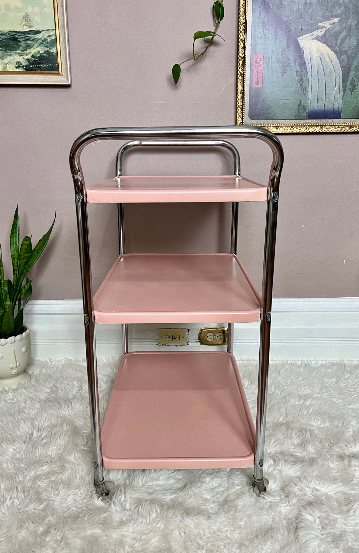 The Rustic Pink Cart