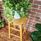 The Pine Stool