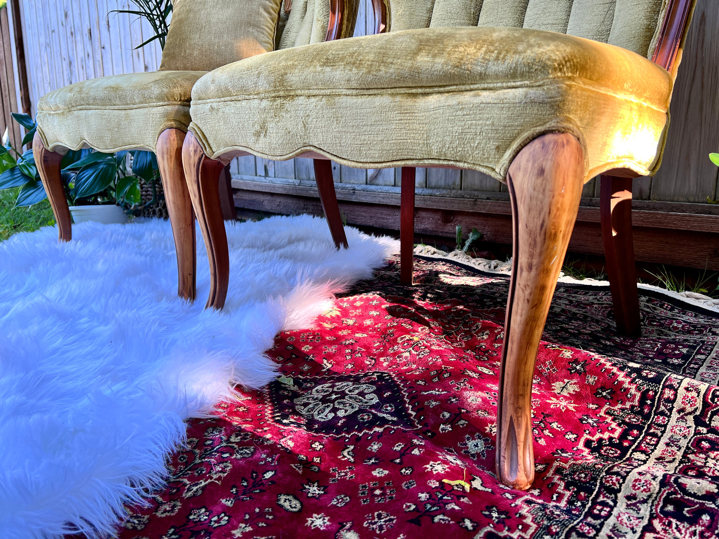 The Francine & Gilbert Chairs
