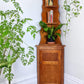 The Maple Corner Shelf