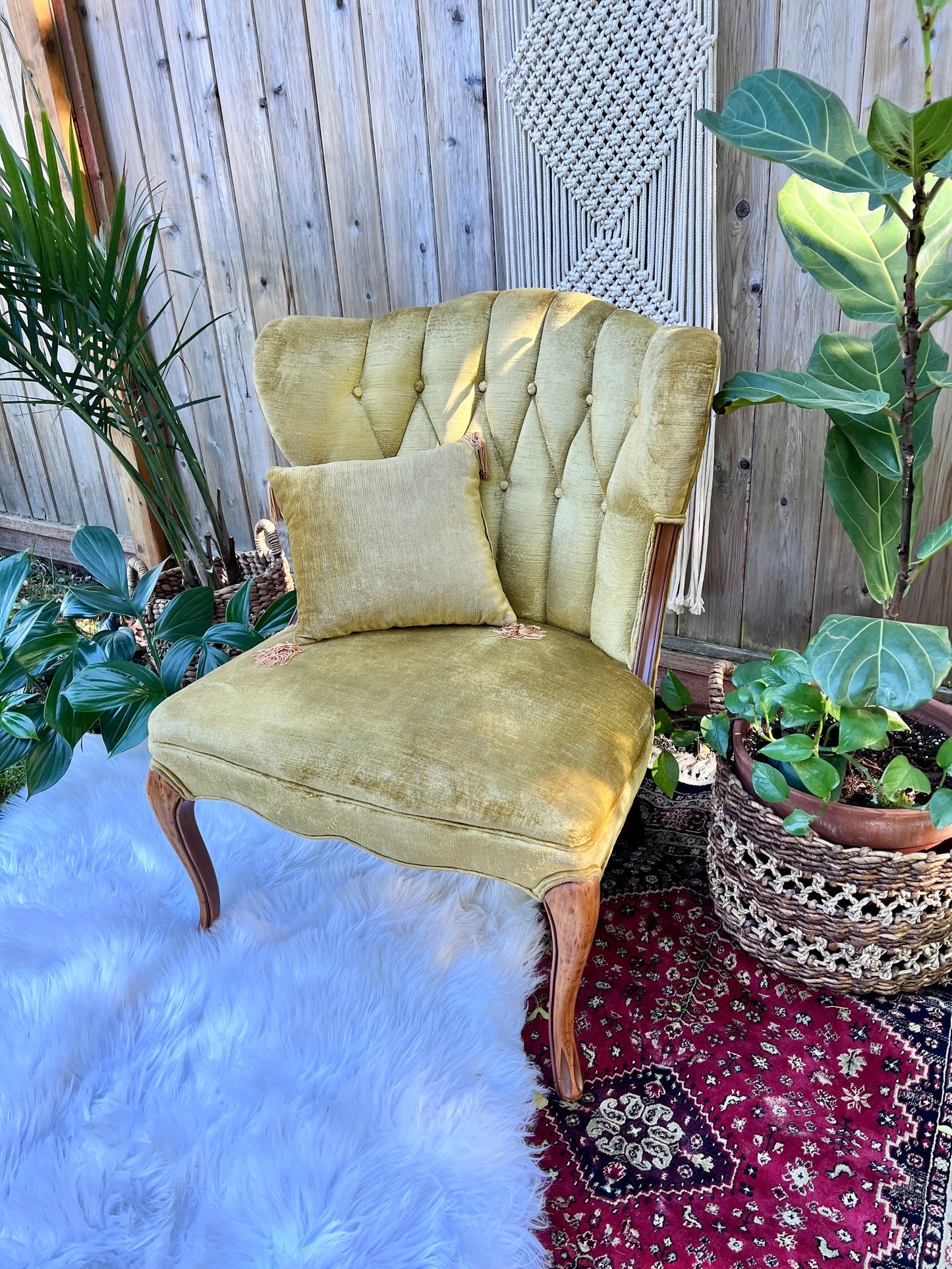 The Francine & Gilbert Chairs