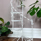 The Spiral Staircase Plant Stand