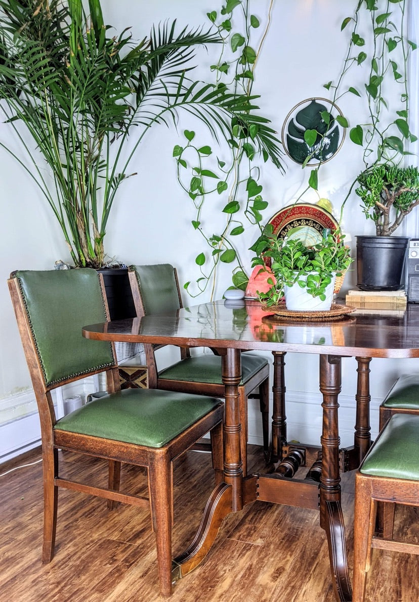 The Succulent Chairs