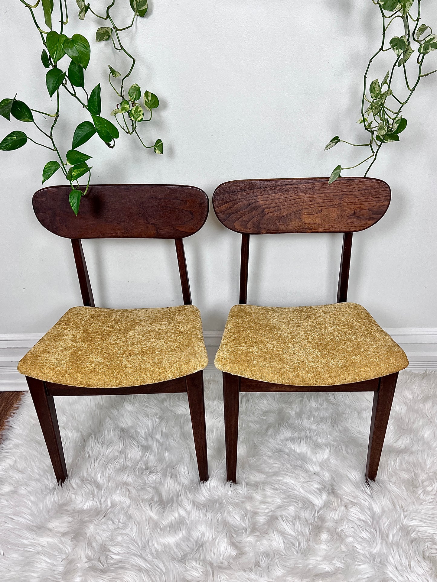 The Valmar Chairs