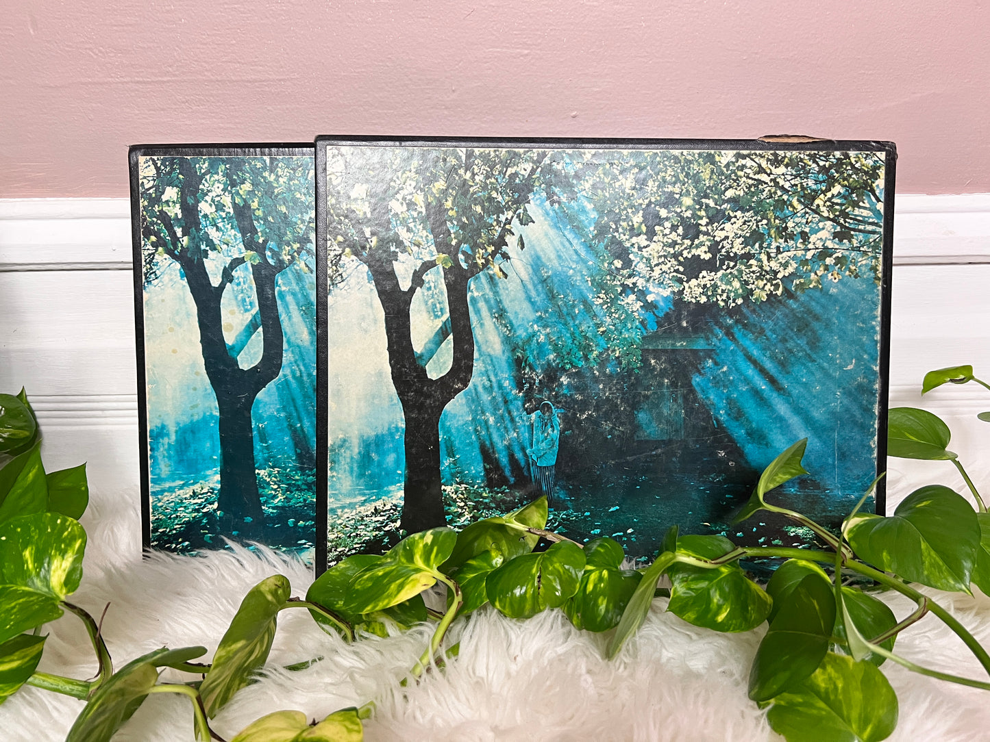 NFB Of Canada A Year Of The Land Book