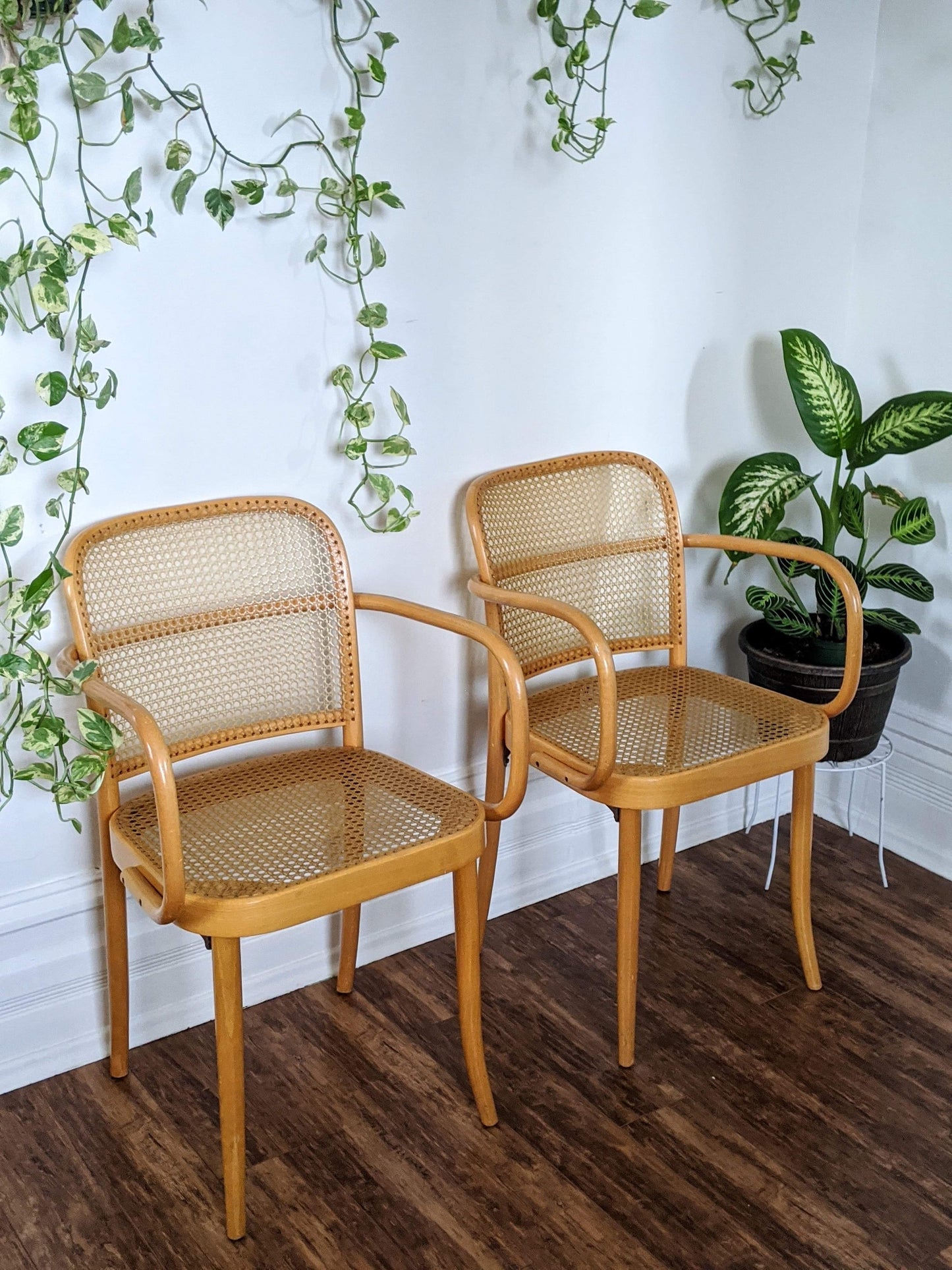 The Prague Bentwood Chairs(Only 1 left!)