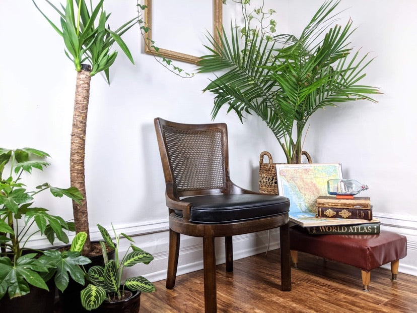 The Savanna Chairs - (ONLY 1 LEFT!)