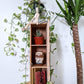 The Woody Cubby