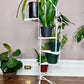 The Spiral Staircase Plant Stand