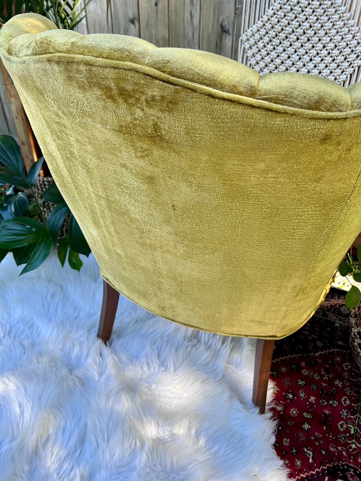 The Francine & Gilbert Chairs