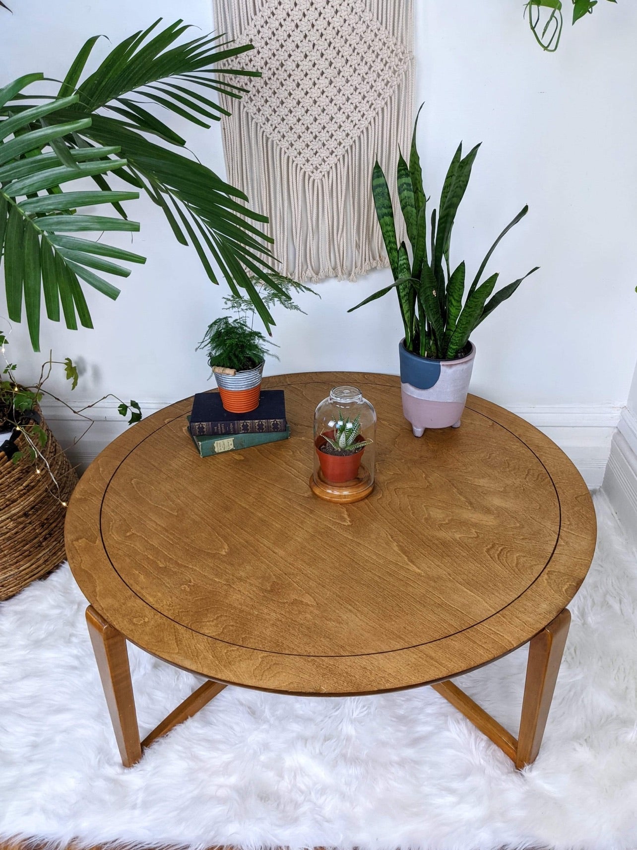 The Orville Coffee Table