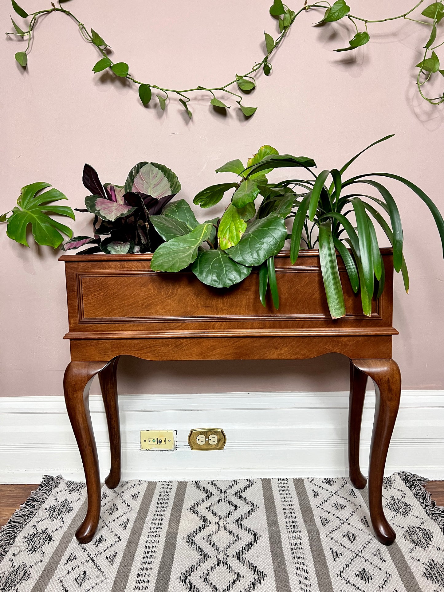 The Mahogany Planter
