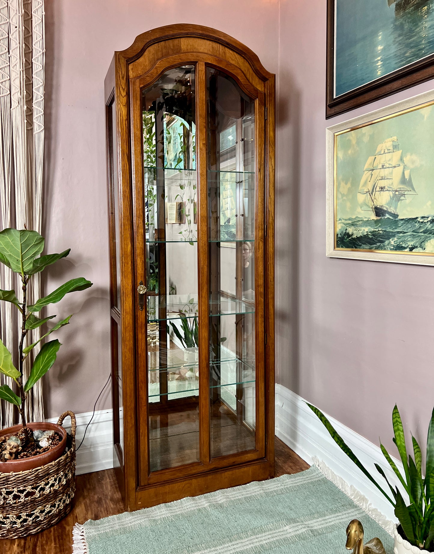 The Orwell Display Cabinet