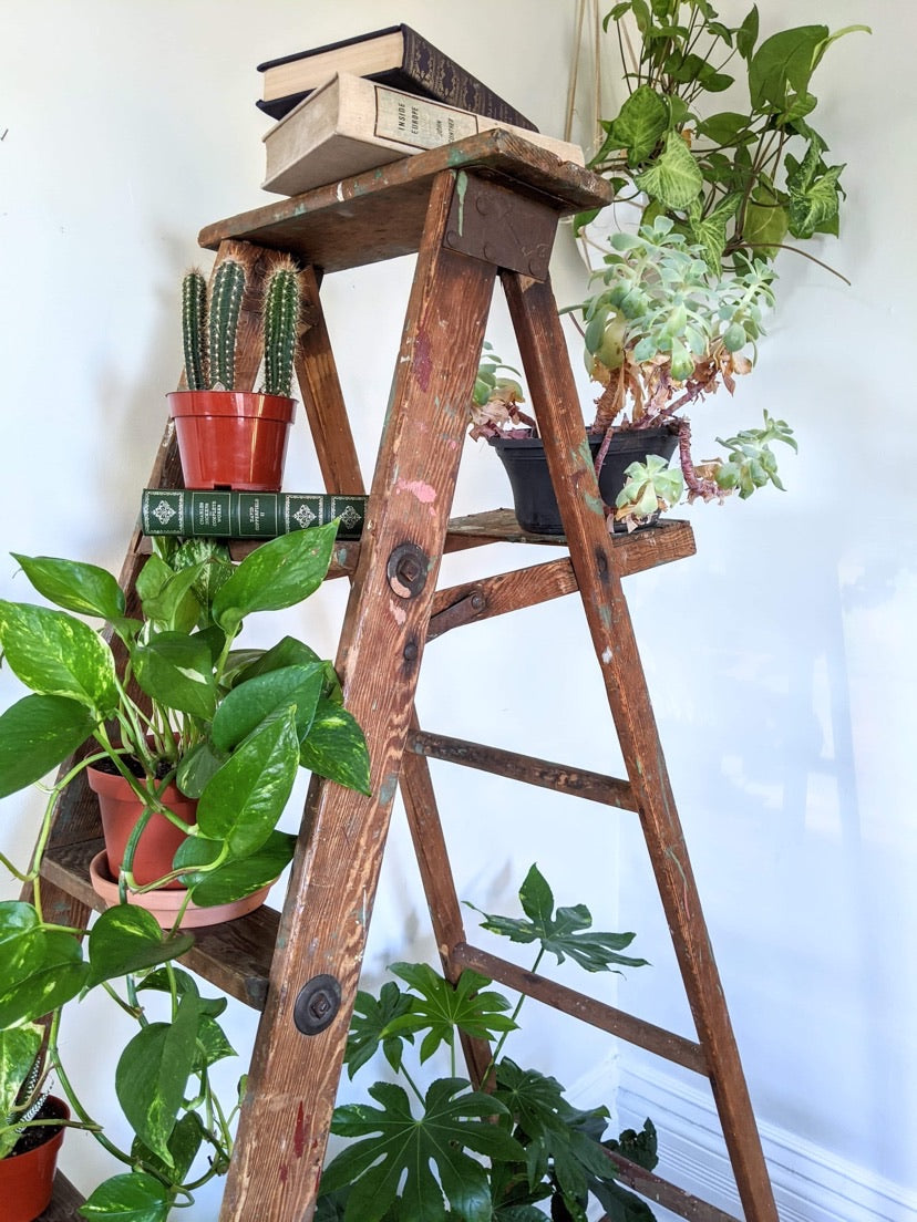 It’s A Ladder Shelf!