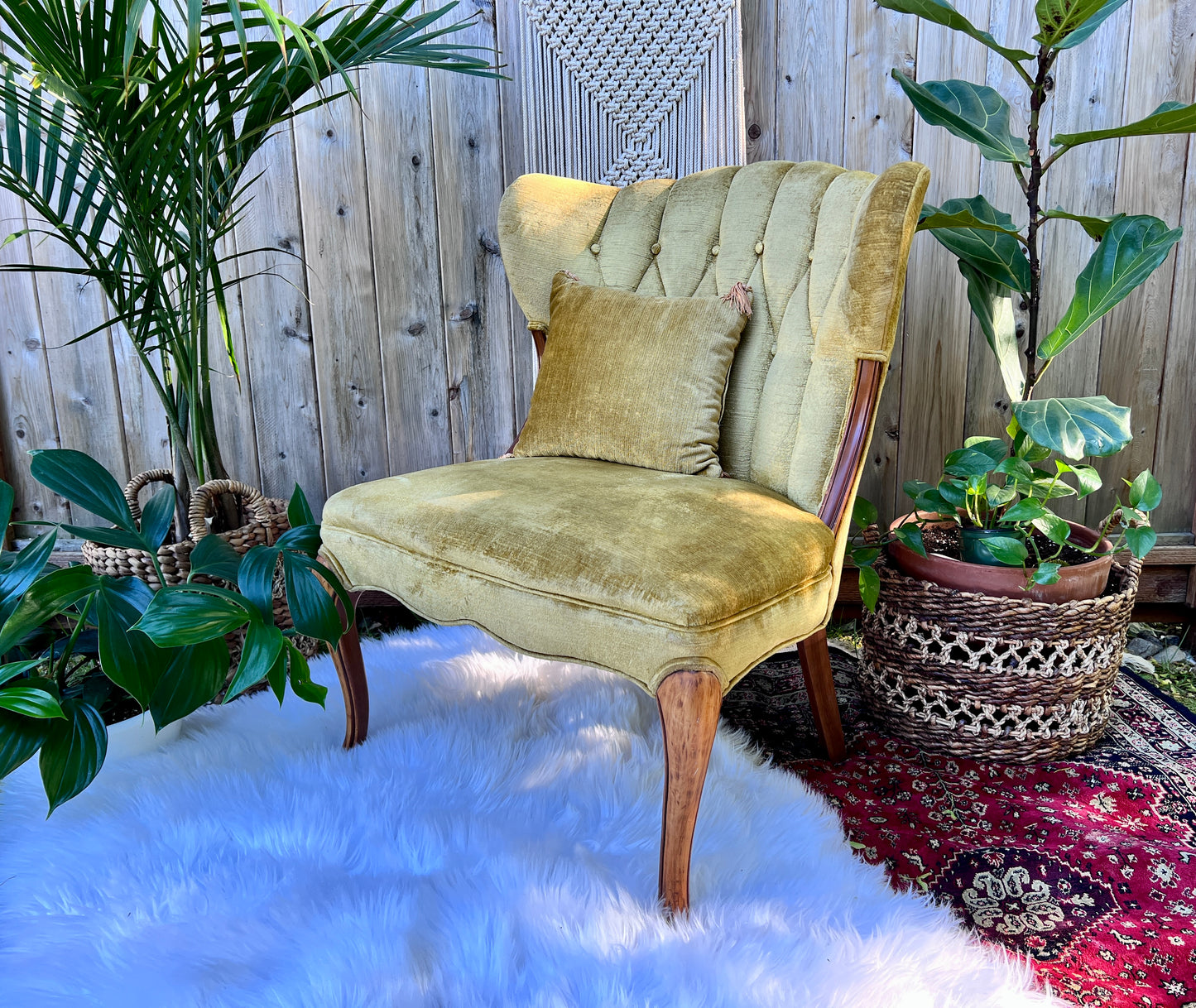 The Francine & Gilbert Chairs