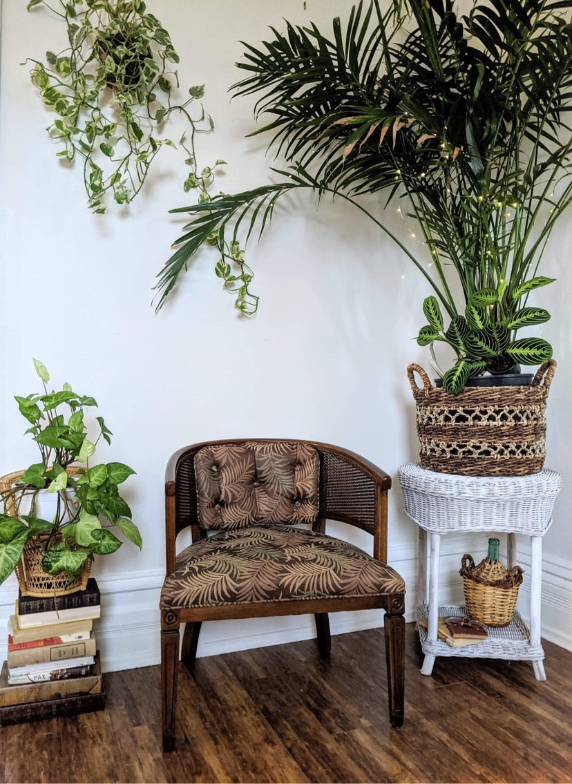 Wicker Wood Barrel Style Bombay 1960's fabric palm print dark brown victoria bc canada used second hand thrift