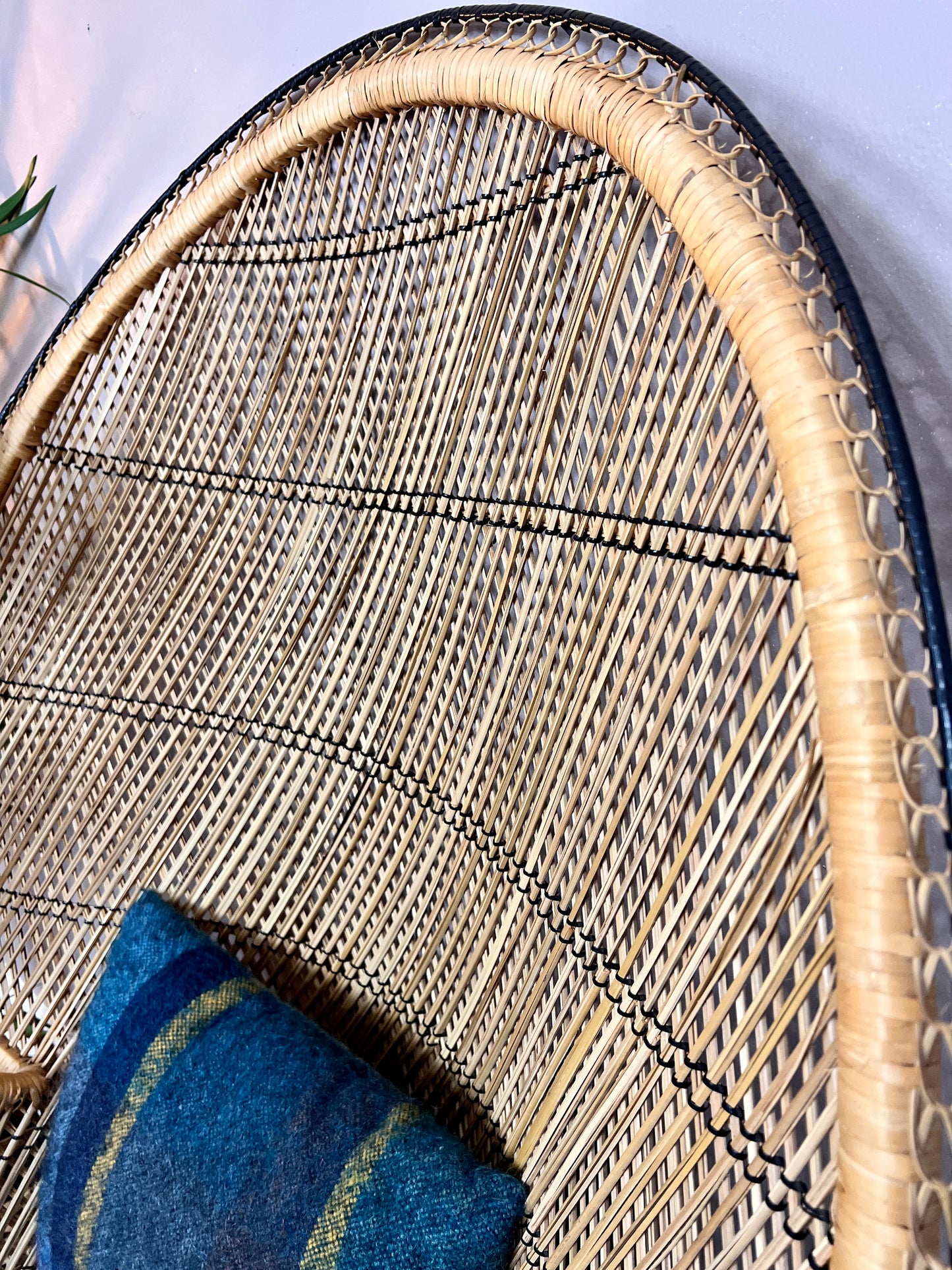 The Peacock Armchair