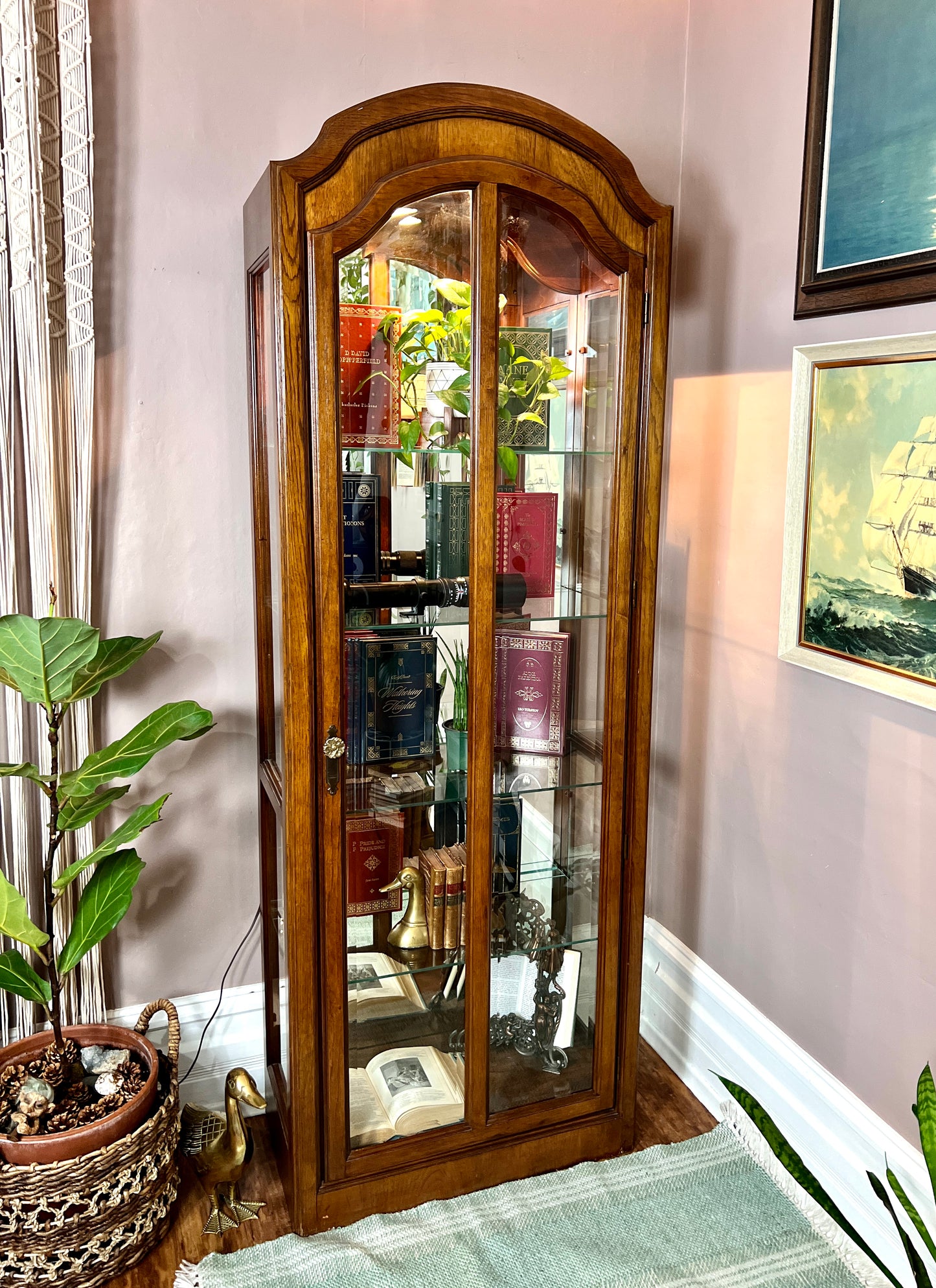 The Orwell Display Cabinet