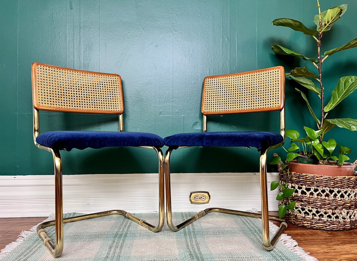 The Don Royal Chairs