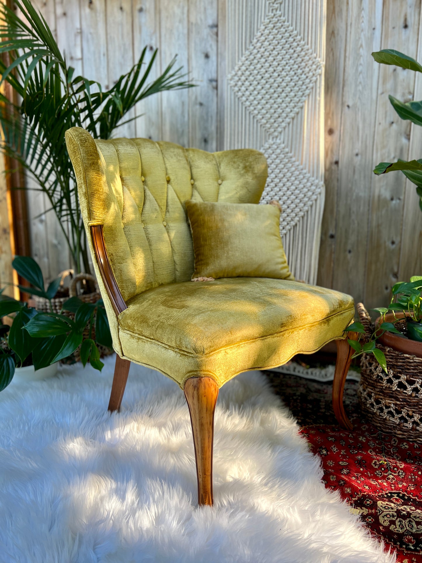 The Francine & Gilbert Chairs