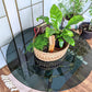 The Dark Star Coffee Table