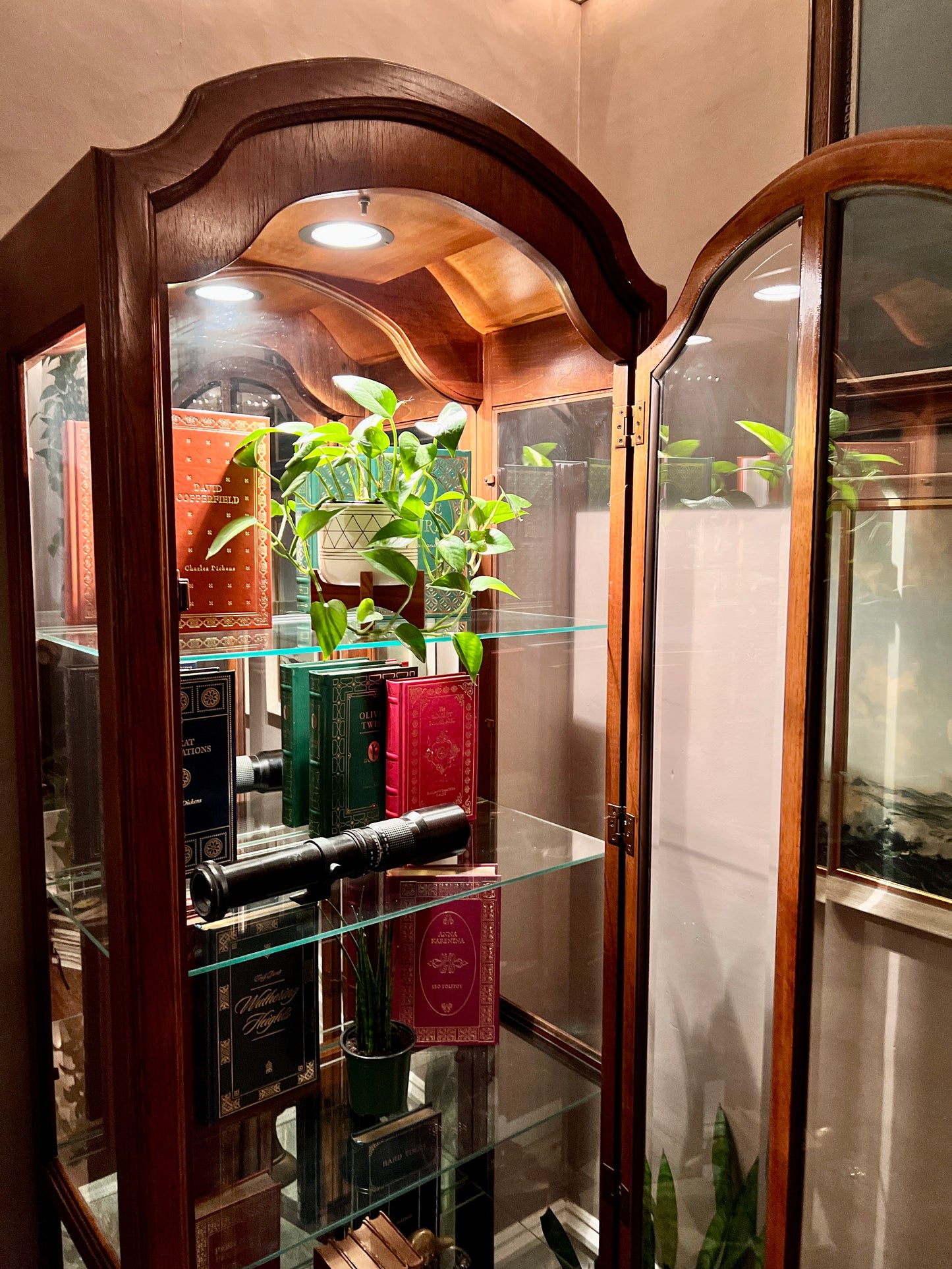 The Orwell Display Cabinet