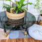 The Dark Star Coffee Table