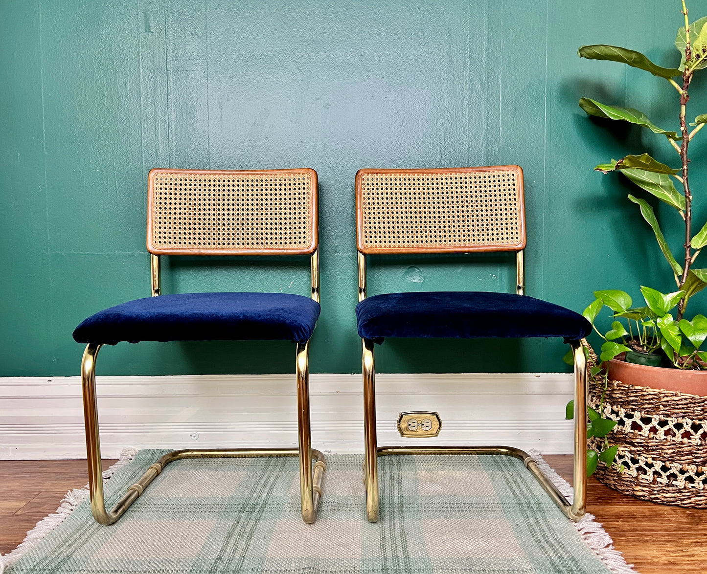 The Don Royal Chairs