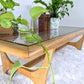 The Sundance Coffee Table