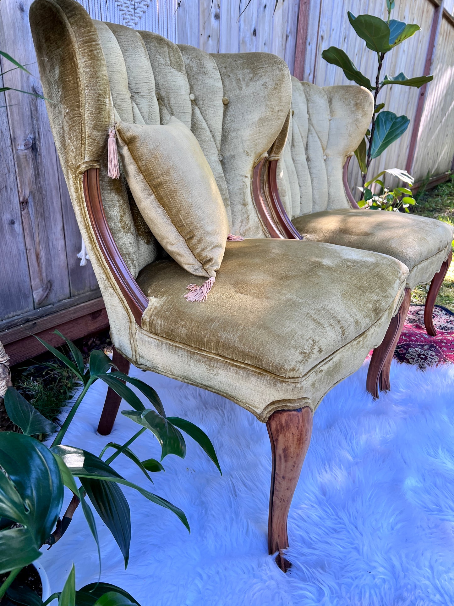 The Francine & Gilbert Chairs