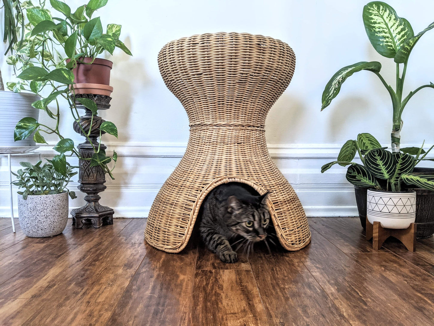 The Feline Hut & Plant Stand