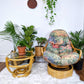 The Ravishing Rattan Set