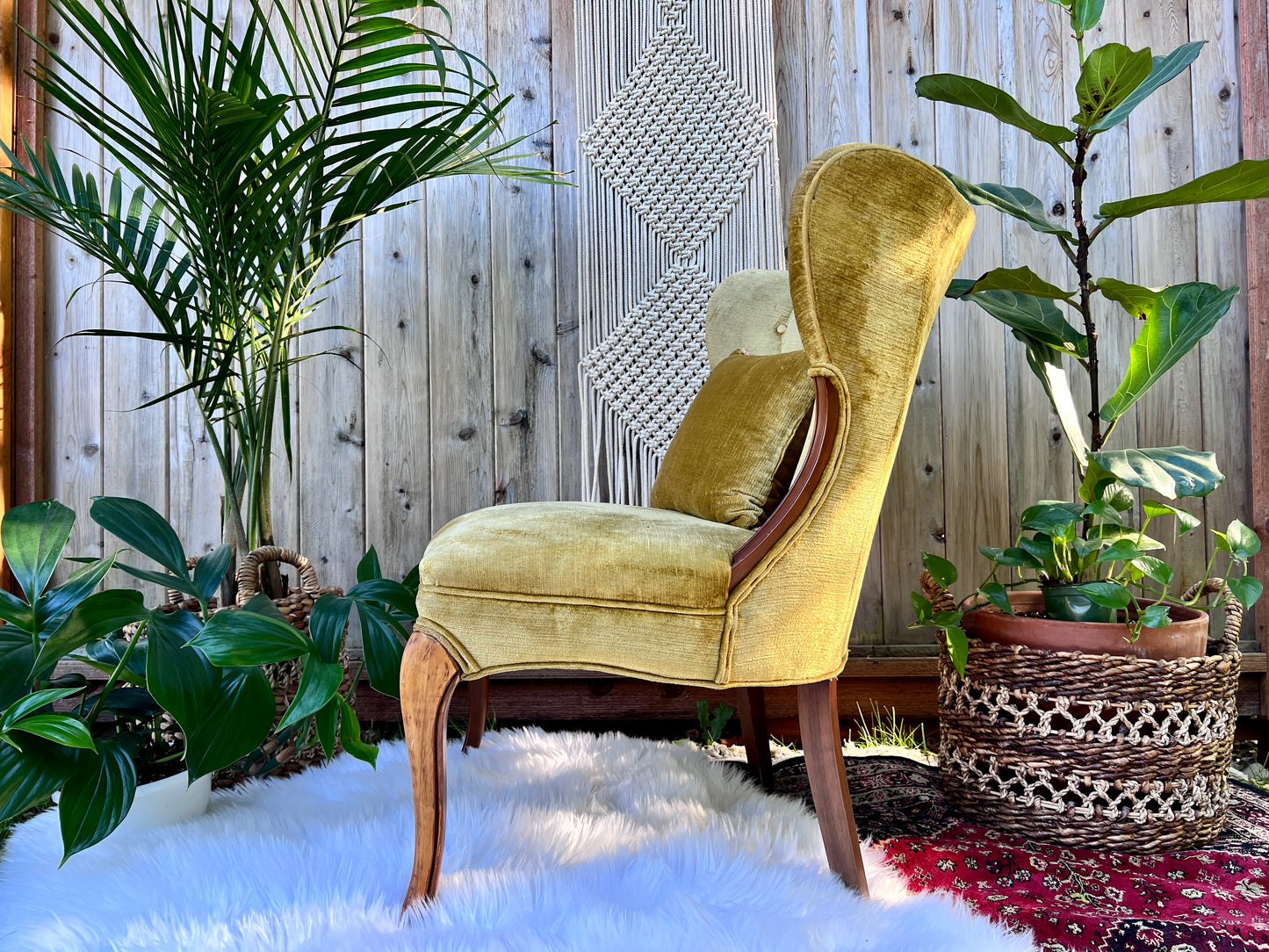 The Francine & Gilbert Chairs
