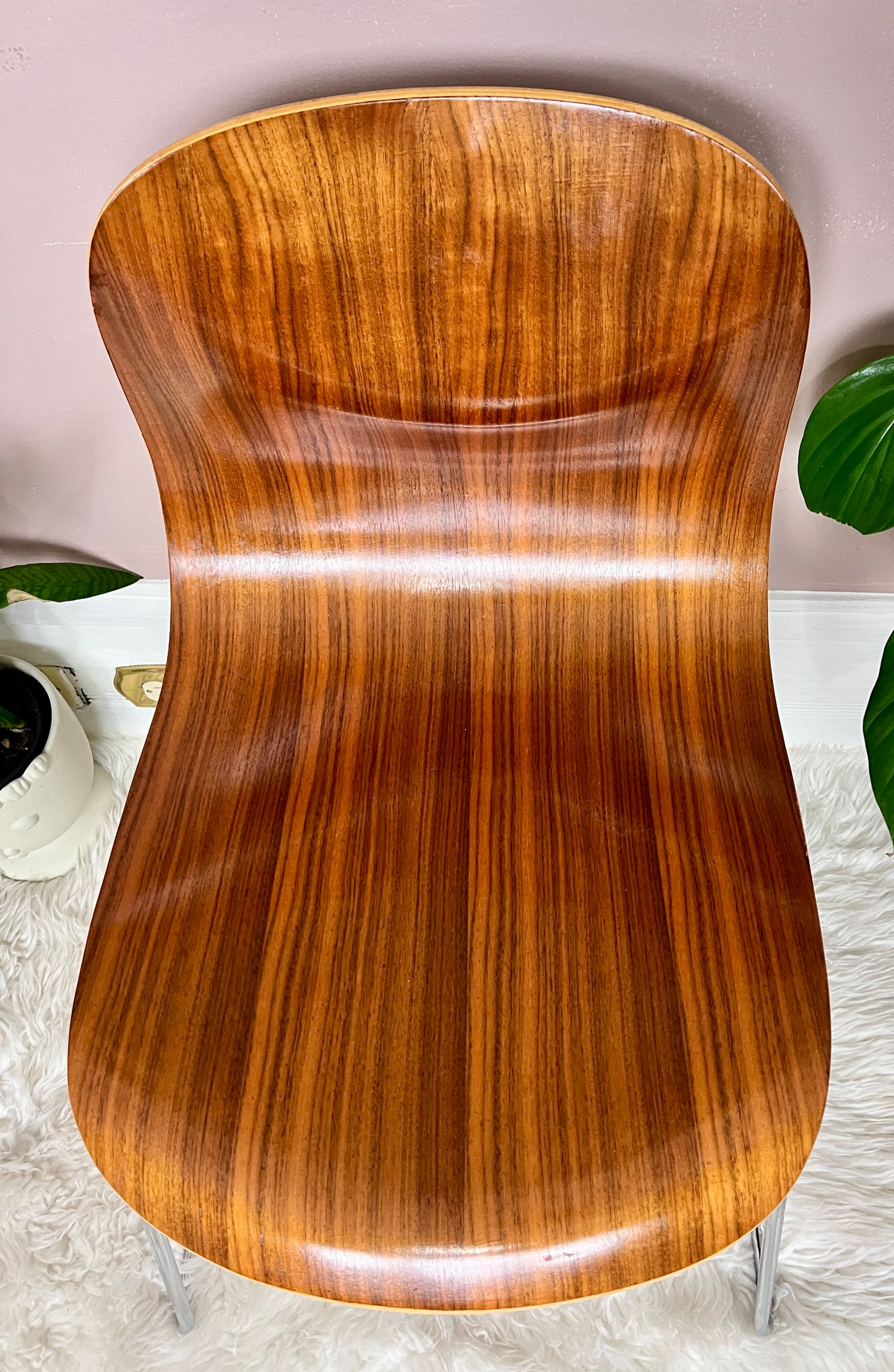 The Bergamot Chairs