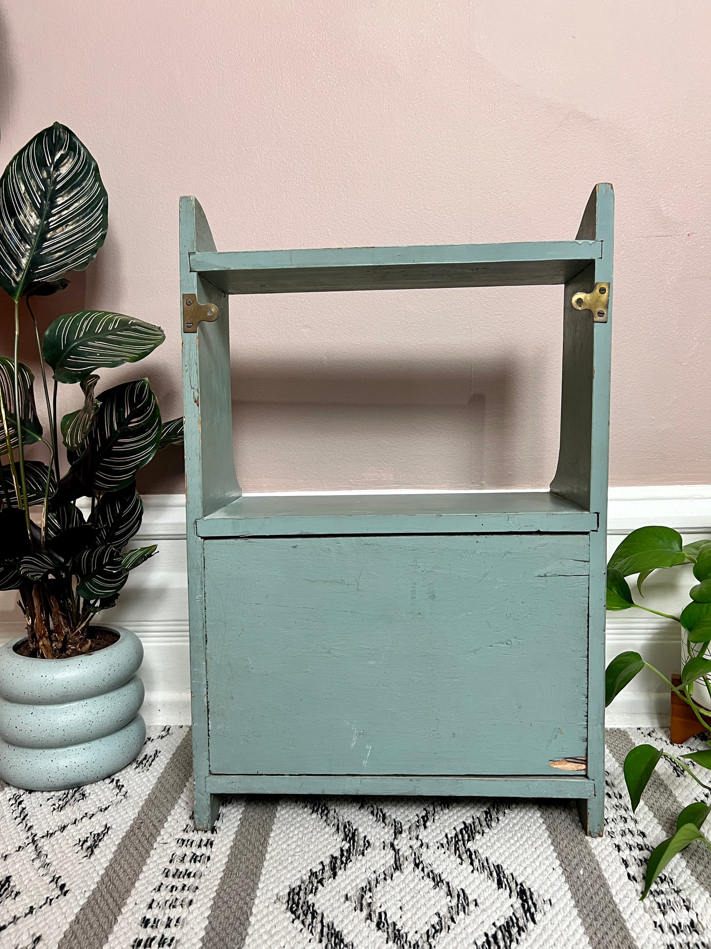 The Sea Moss Cabinet