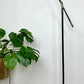 The Juniper Lamp