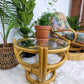 The Ravishing Rattan Set