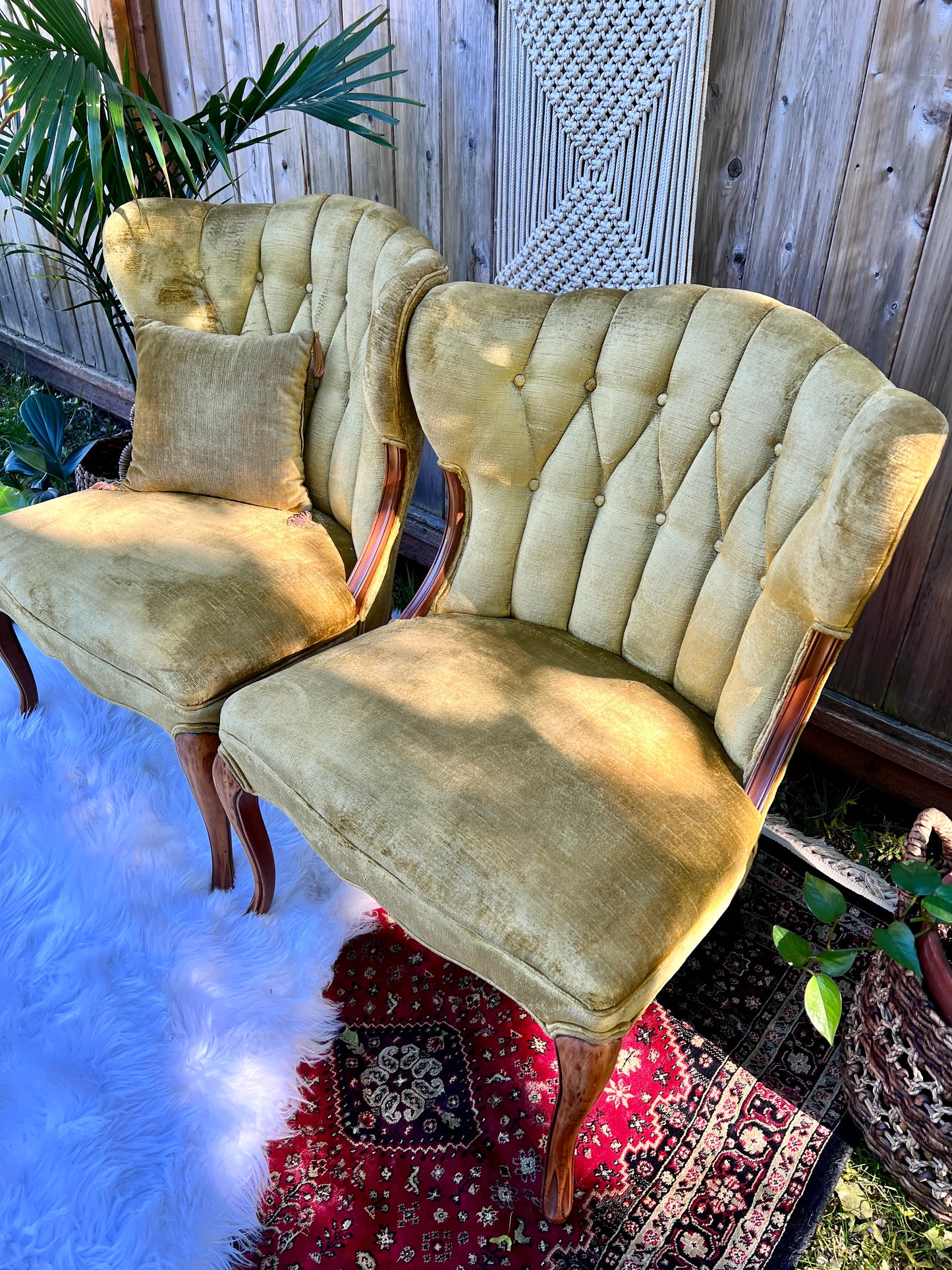 The Francine & Gilbert Chairs
