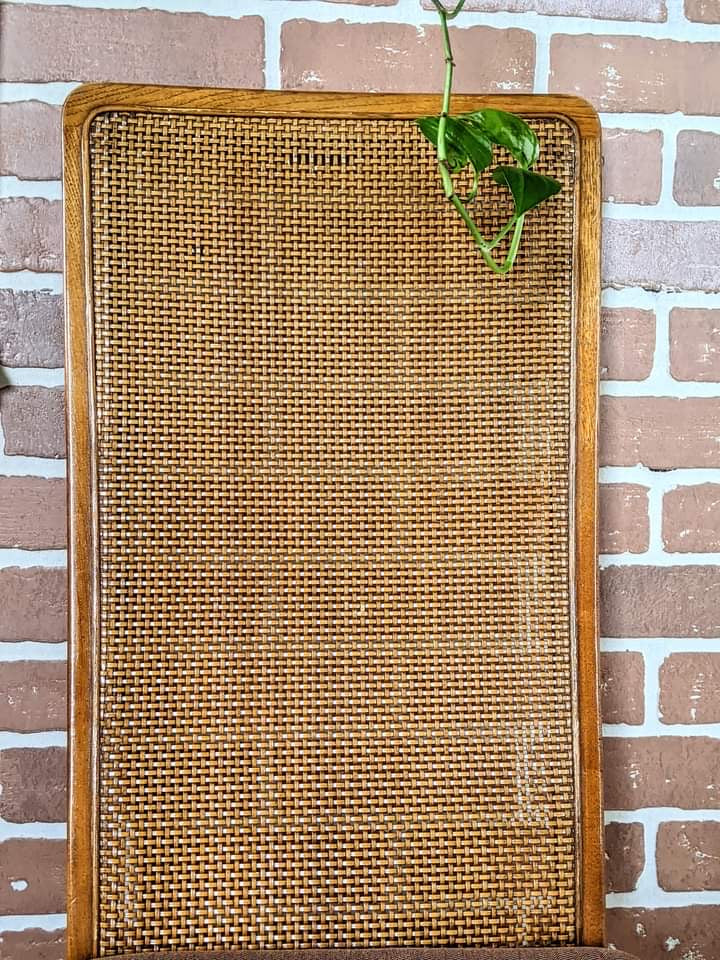 The Ginger & Matilda Chairs