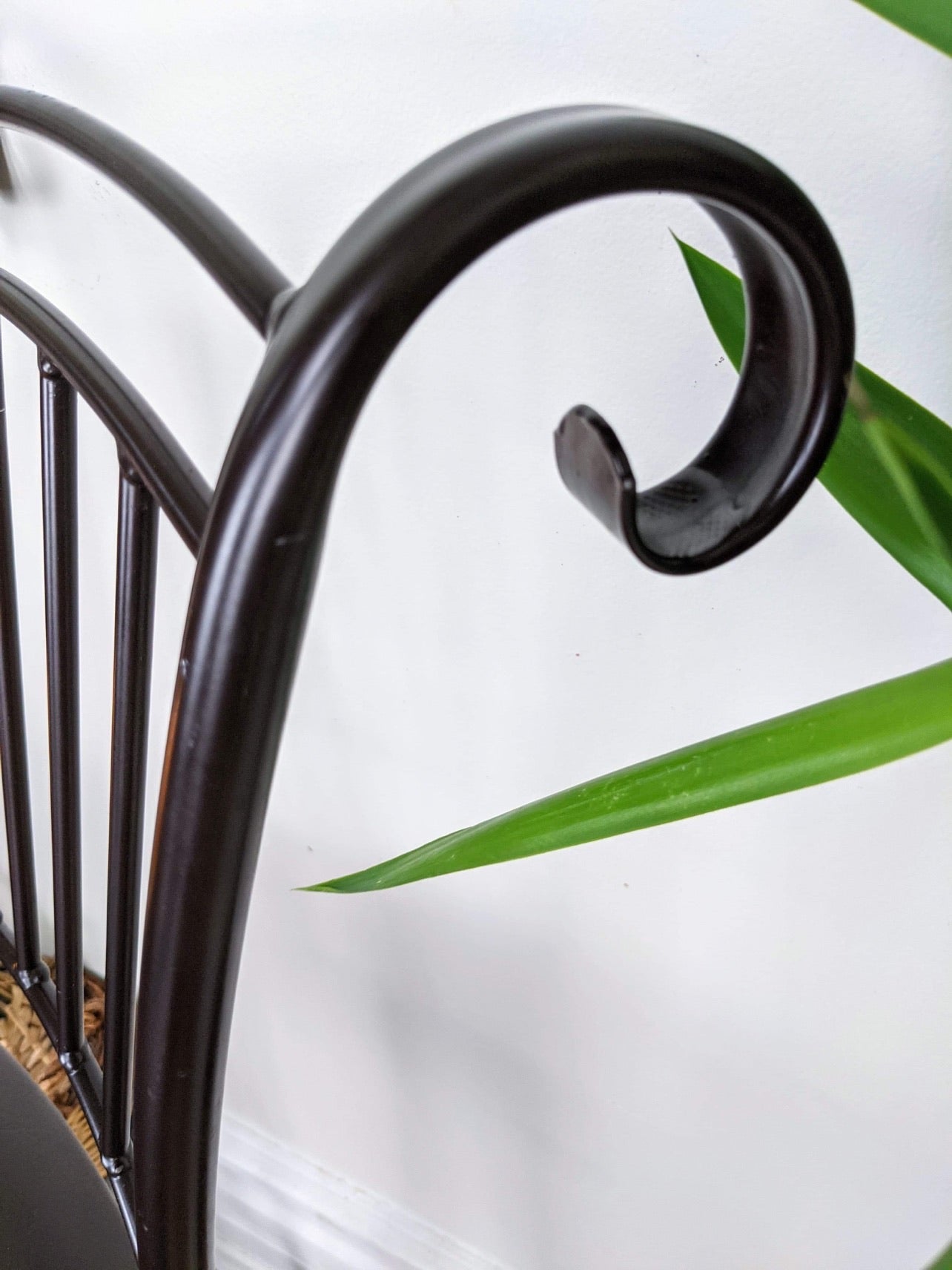 The Chocolate Pudding Stools