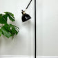 The Juniper Lamp