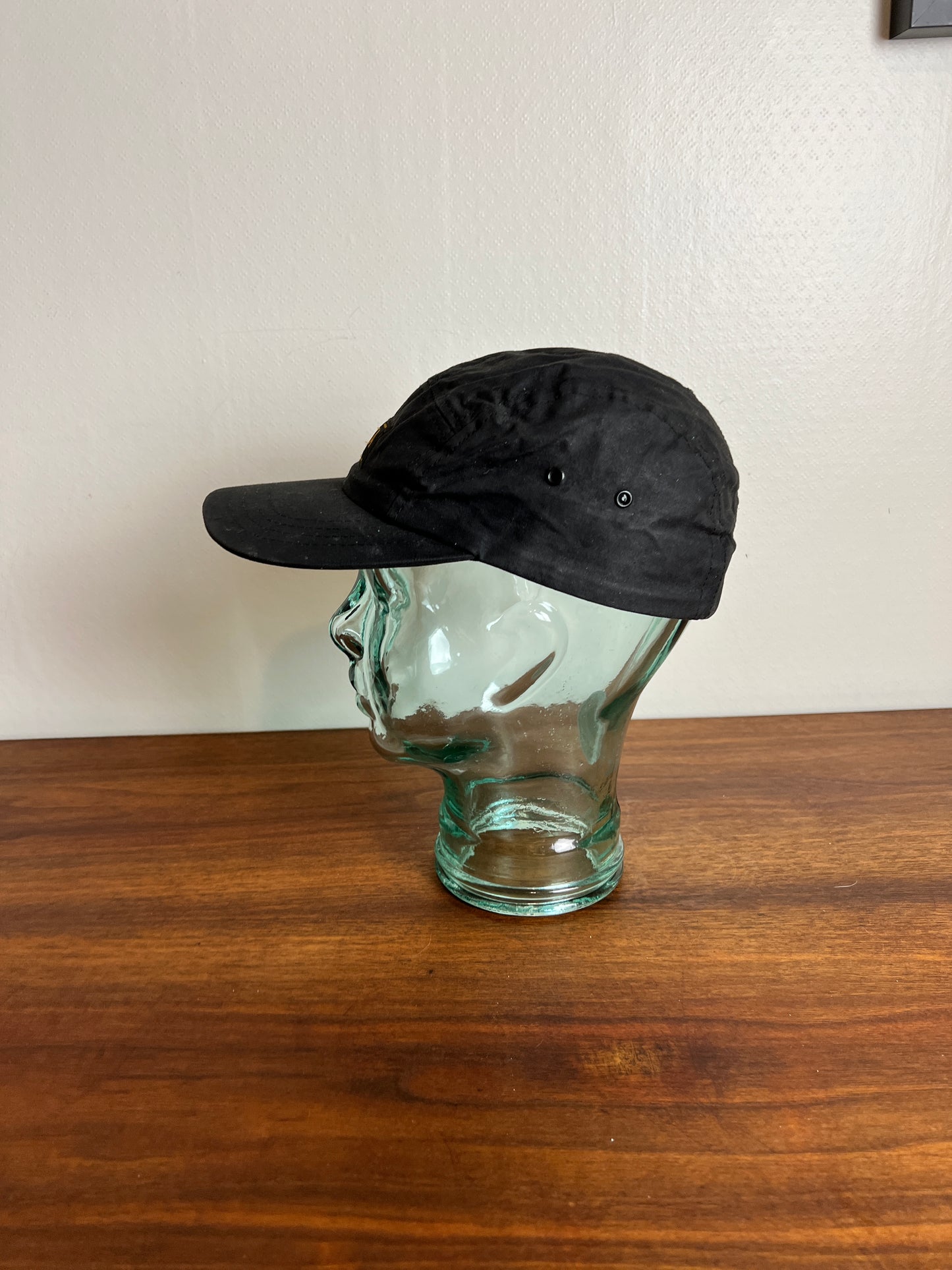 The 5 panel cap