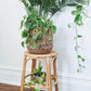The Bombay Plant Stand