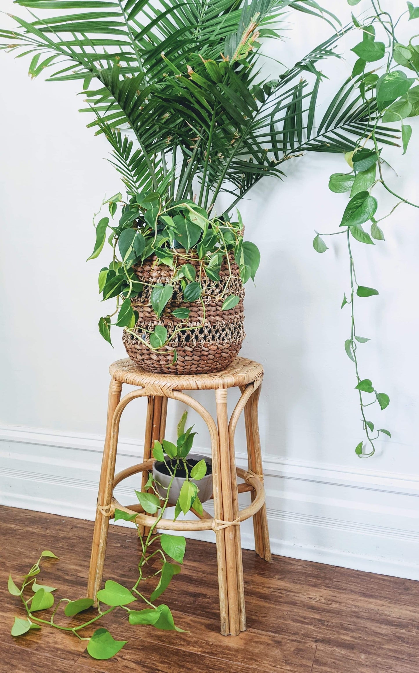 The Bombay Plant Stand