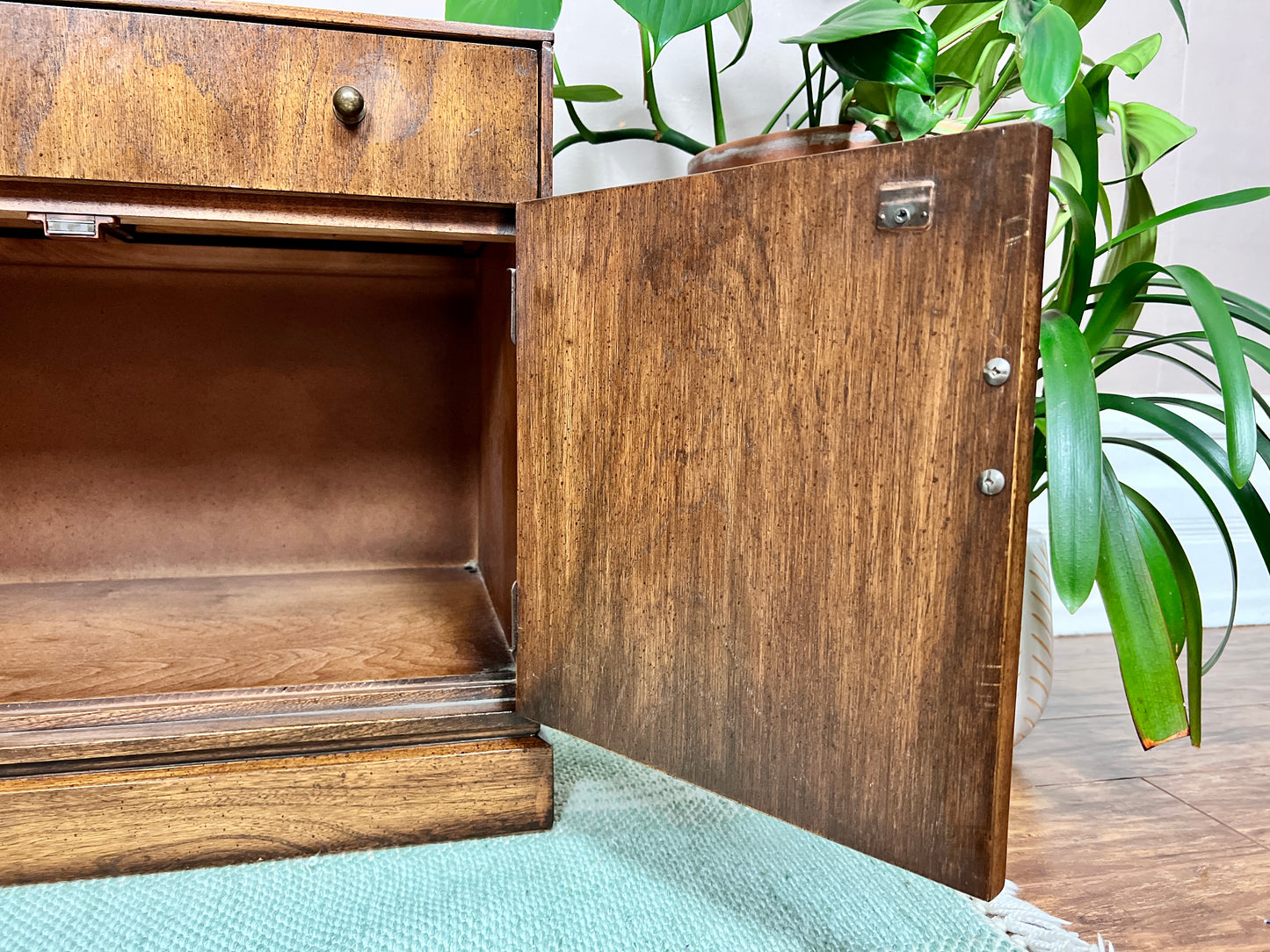 The Kaslo Cabinet