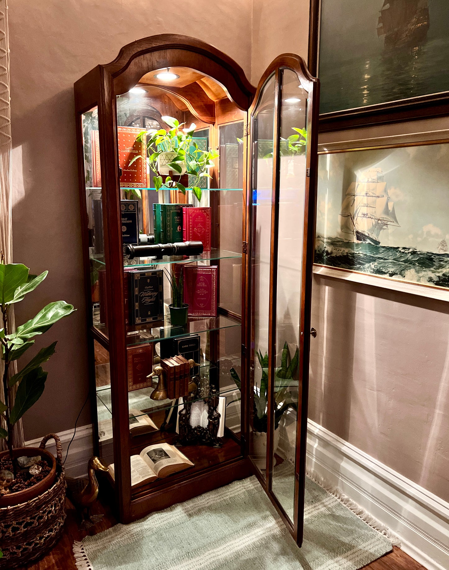 The Orwell Display Cabinet