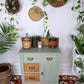 The Jungle Mist Cabinet