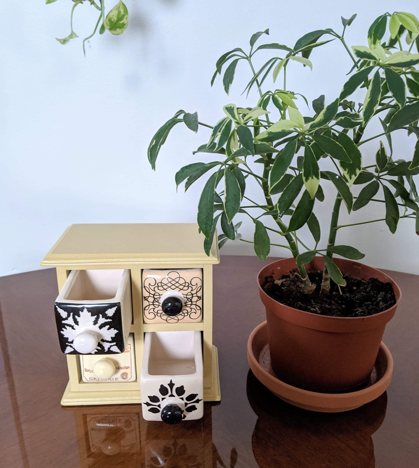 The Four Seasons Spice Cabinet