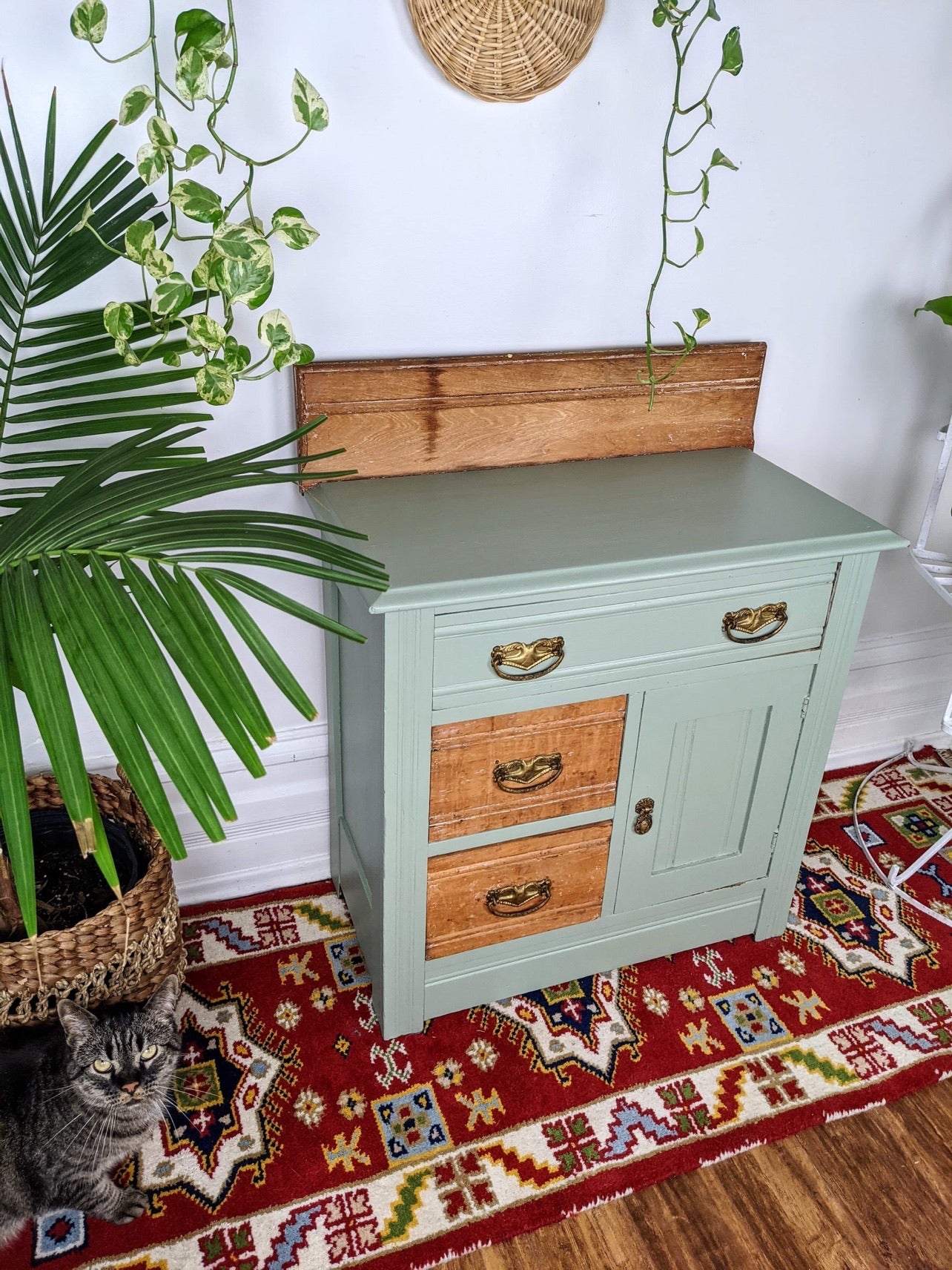 The Jungle Mist Cabinet
