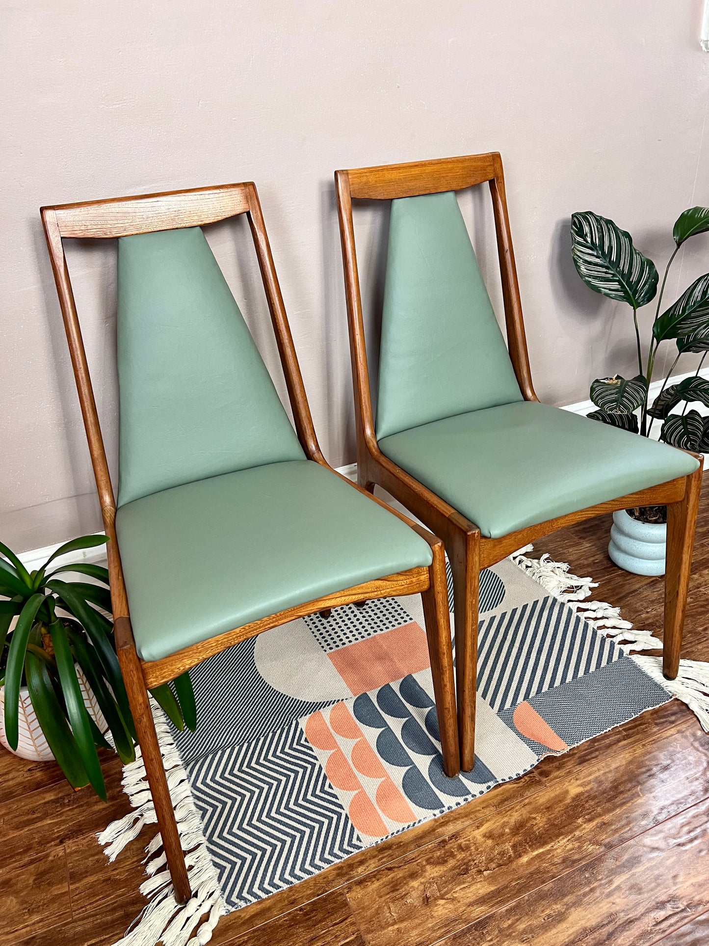 The Sage Teak Chairs